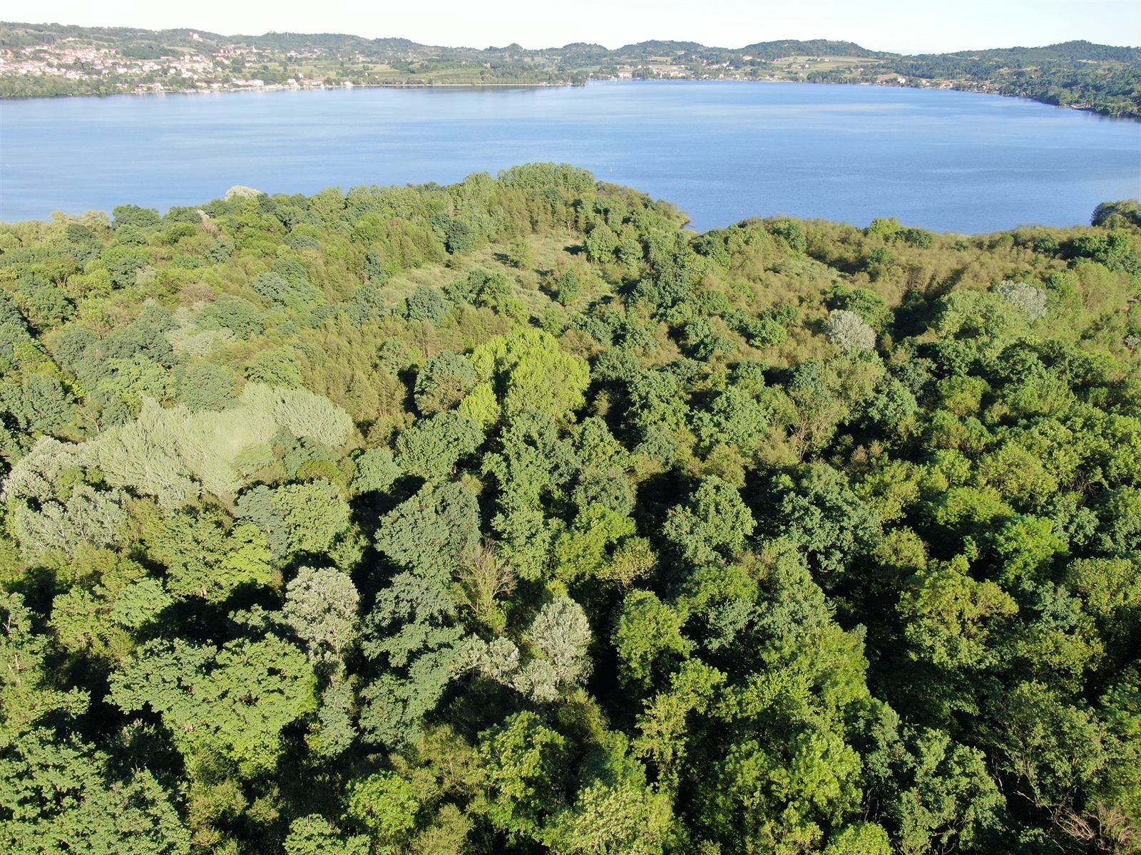 Piano Forestale Aziendale di Azeglio